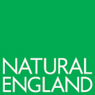 NatEng logo New Green